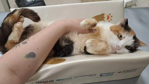 Zdjęcie aktualizacji 141 809