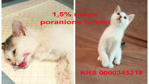 Zdjęcie aktualizacji 142 550