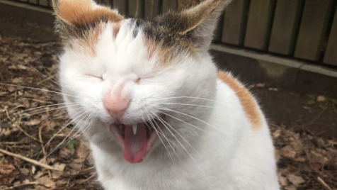 Zdjęcie aktualizacji 142 551