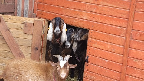 Zdjęcie aktualizacji 142 660