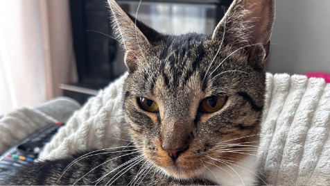 Zdjęcie aktualizacji 143 482