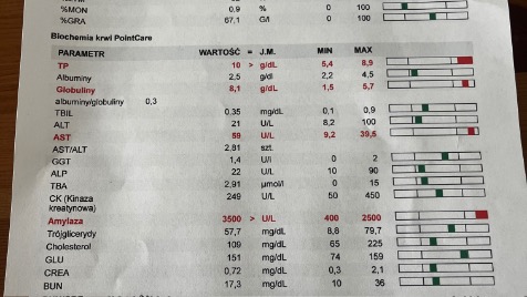 Zdjęcie aktualizacji 143 519