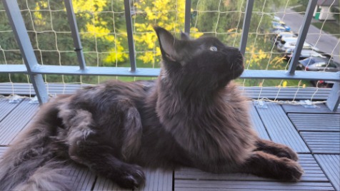 Zdjęcie aktualizacji 143 657