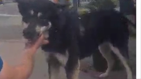 Zdjęcie aktualizacji 143 978