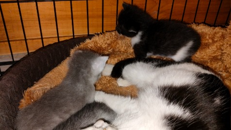 Zdjęcie aktualizacji 144 268