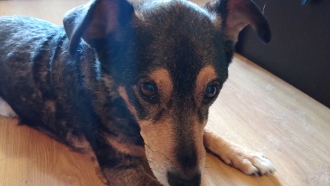 Zdjęcie aktualizacji 144 347