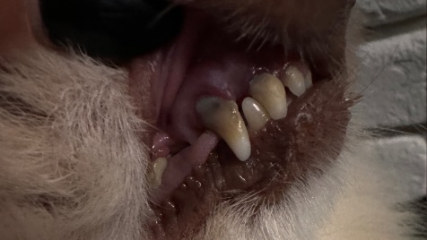 Zdjęcie aktualizacji 144 437