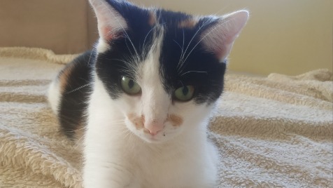 Zdjęcie aktualizacji 144 443