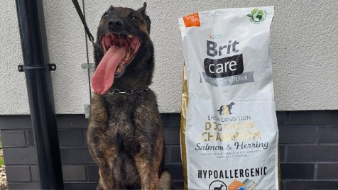 Zdjęcie aktualizacji 144 452