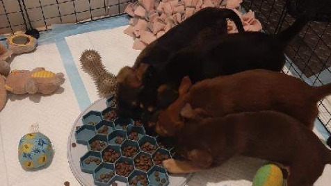 Zdjęcie aktualizacji 144 636