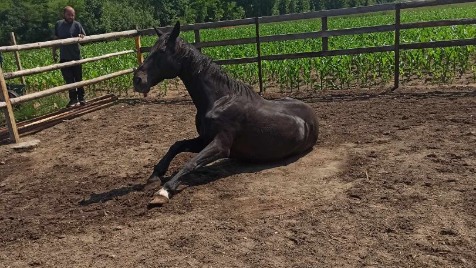 Zdjęcie aktualizacji 144 694