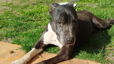 Zdjęcie aktualizacji 144 817