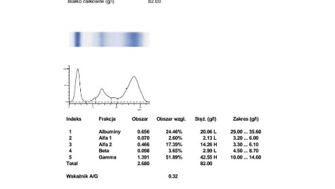 Zdjęcie aktualizacji 144 883