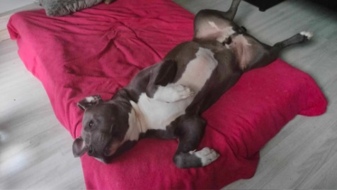 Zdjęcie aktualizacji 145 063