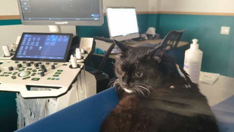 Zdjęcie aktualizacji 145 633