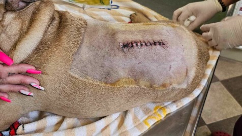 Zdjęcie aktualizacji 145 686