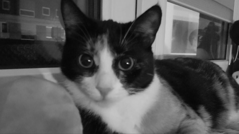 Zdjęcie aktualizacji 146 781