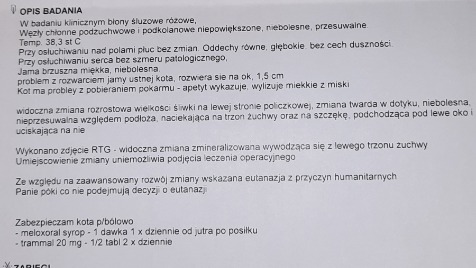 Zdjęcie aktualizacji 147 145