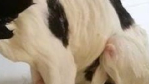 Zdjęcie aktualizacji 147 171