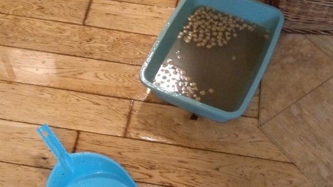 Zdjęcie aktualizacji 147 193