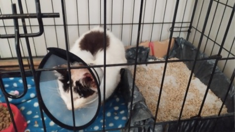 Zdjęcie aktualizacji 147 404