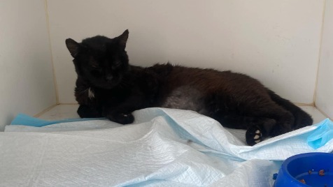 Zdjęcie aktualizacji 147 802