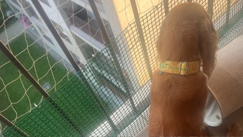 Zdjęcie aktualizacji 148 000