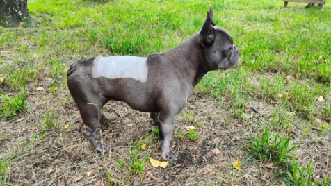 Zdjęcie aktualizacji 148 219