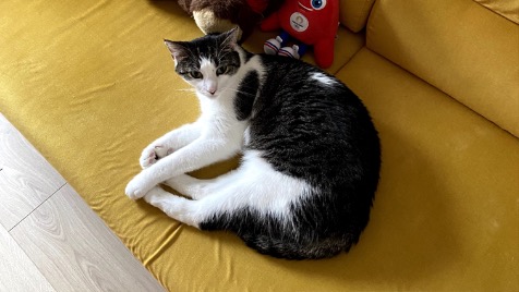 Zdjęcie aktualizacji 148 626