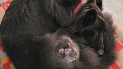 Zdjęcie aktualizacji 149 785