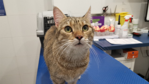 Zdjęcie aktualizacji 152 135