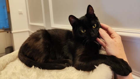 Zdjęcie aktualizacji 152 269