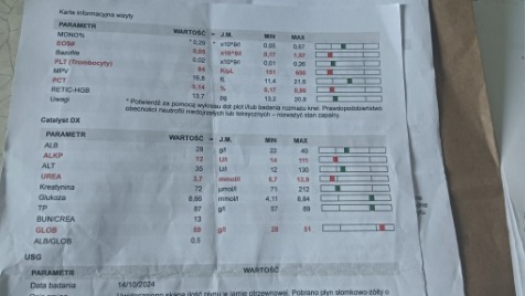 Zdjęcie aktualizacji 152 904