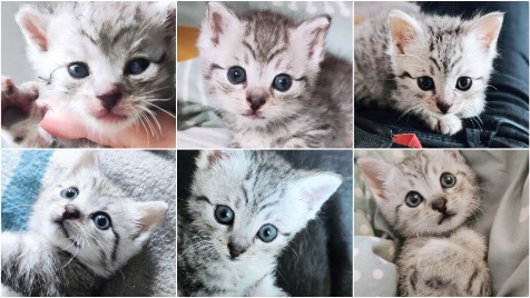 Zdjęcie aktualizacji 153 624