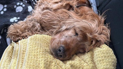 Zdjęcie aktualizacji 153 807