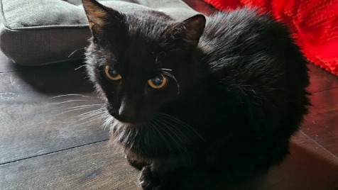 Zdjęcie aktualizacji 154 118