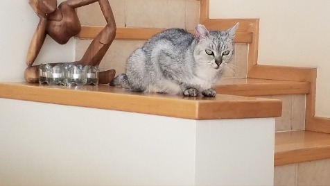 Zdjęcie aktualizacji 154 739