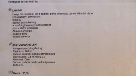 Zdjęcie aktualizacji 155 242