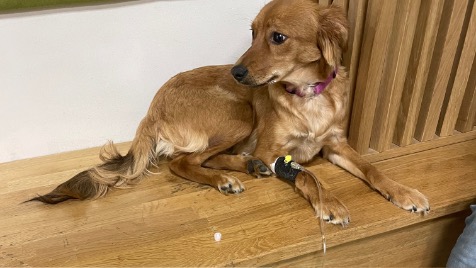 Zdjęcie aktualizacji 155 633