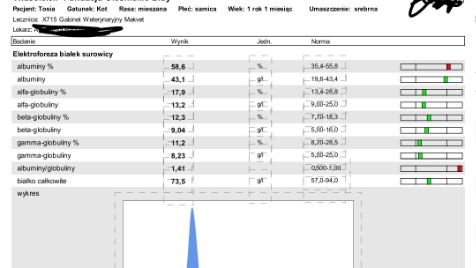 Zdjęcie aktualizacji 155 751