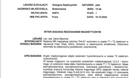 Zdjęcie aktualizacji 155 806