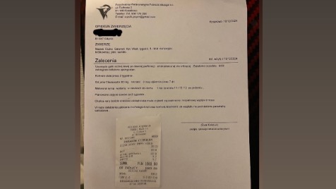 Zdjęcie aktualizacji 156 028