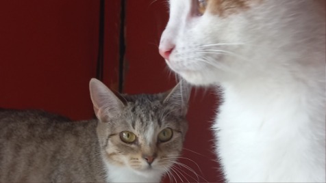 Zdjęcie aktualizacji 156 058