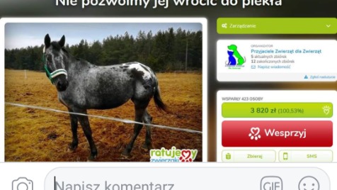 Zdjęcie aktualizacji 15 686