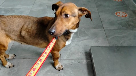 Zdjęcie aktualizacji 157 209