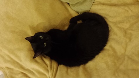 Zdjęcie aktualizacji 157 361