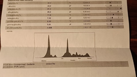 Zdjęcie aktualizacji 157 613