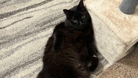 Zdjęcie aktualizacji 157 614