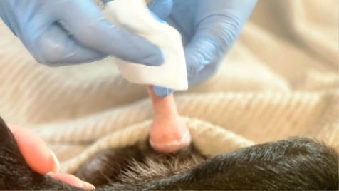 Zdjęcie aktualizacji 157 736