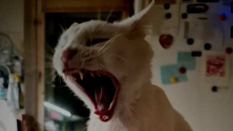 Zdjęcie aktualizacji 158 434